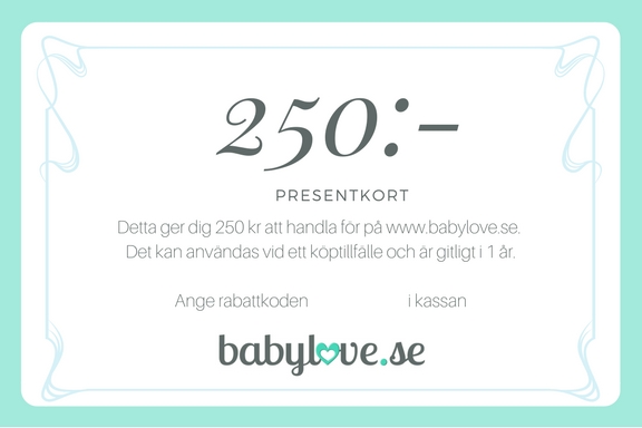 Presentkort 250 kr